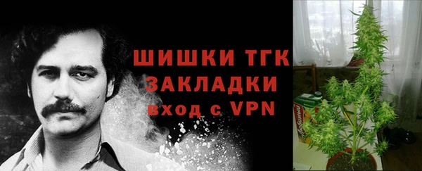 кокаин Дмитриев