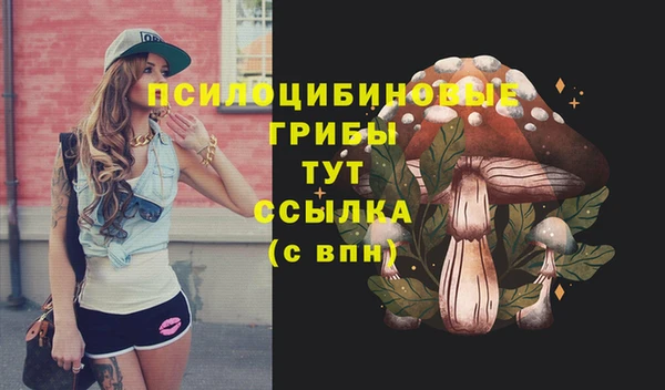 кокаин Дмитриев