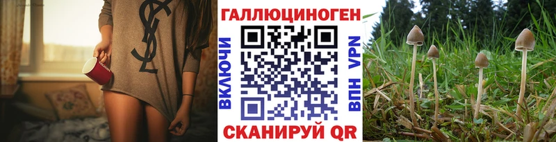 Купить закладки  Иннополис  Псилоцибиновые грибы Psilocybine cubensis 